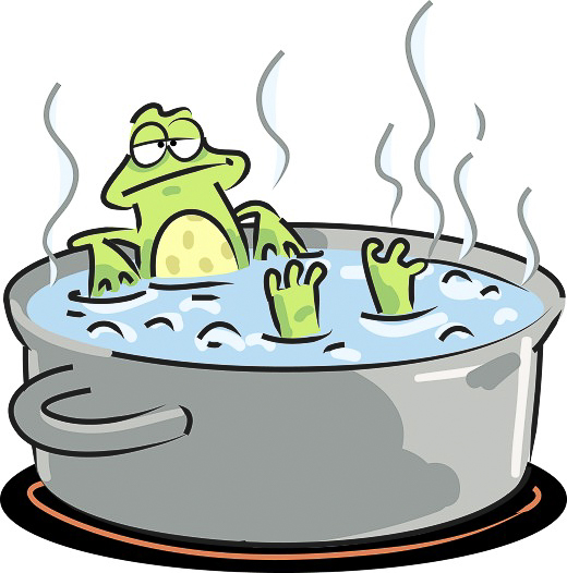 cooked-frog_520