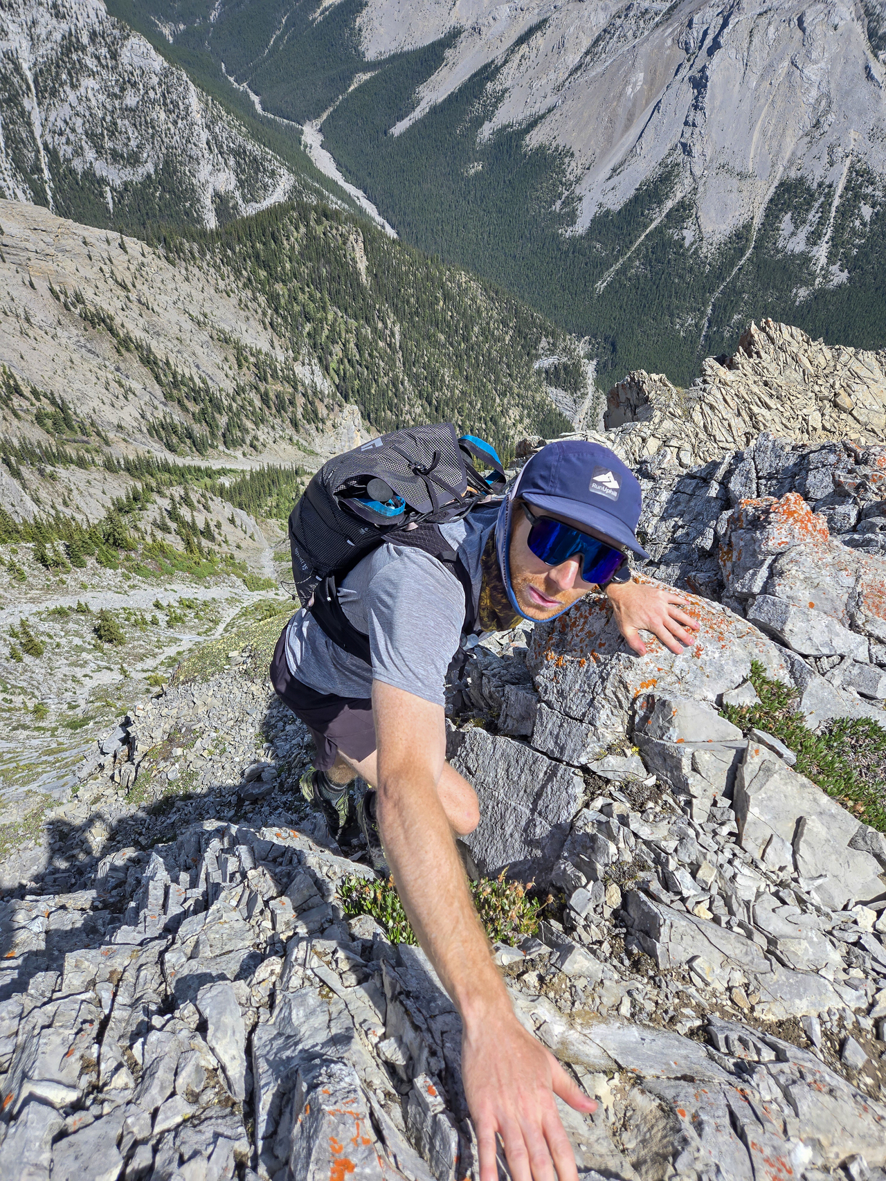 Buddy on fifth foray