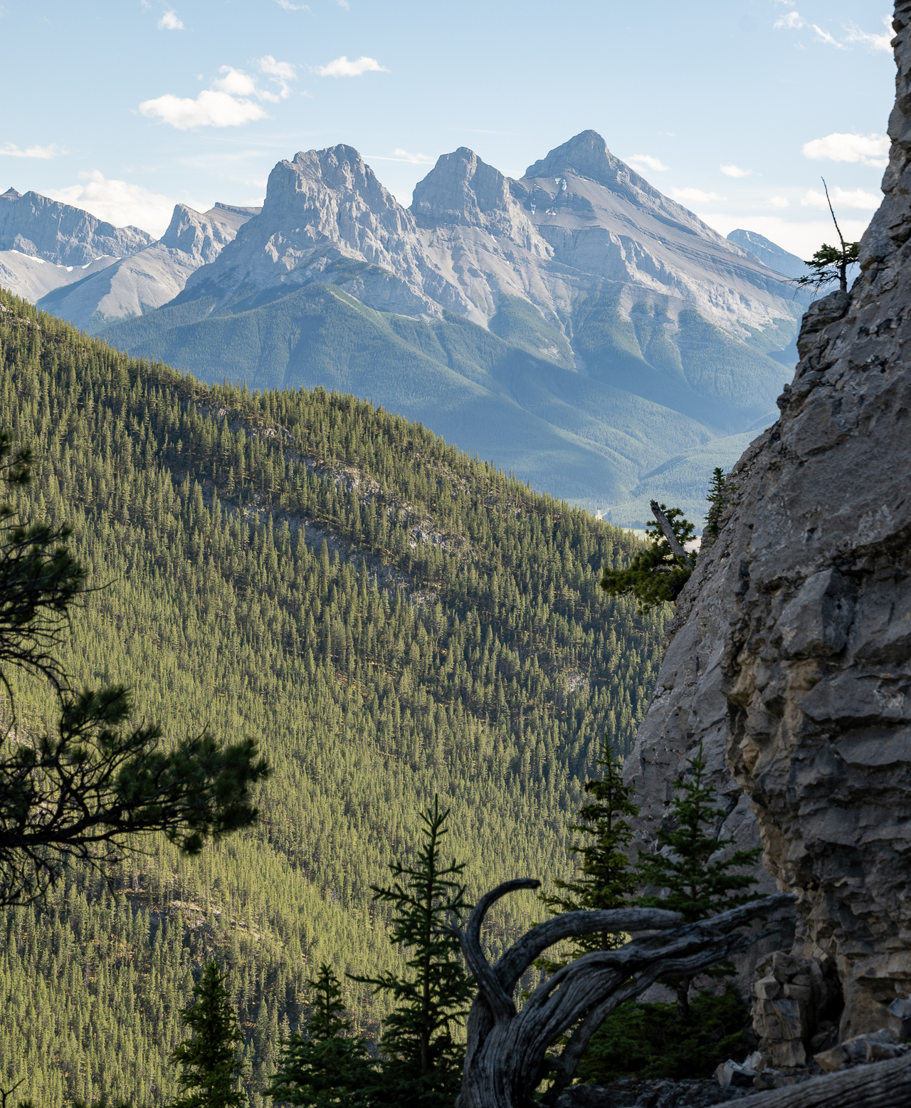 3Sisters from lower swell