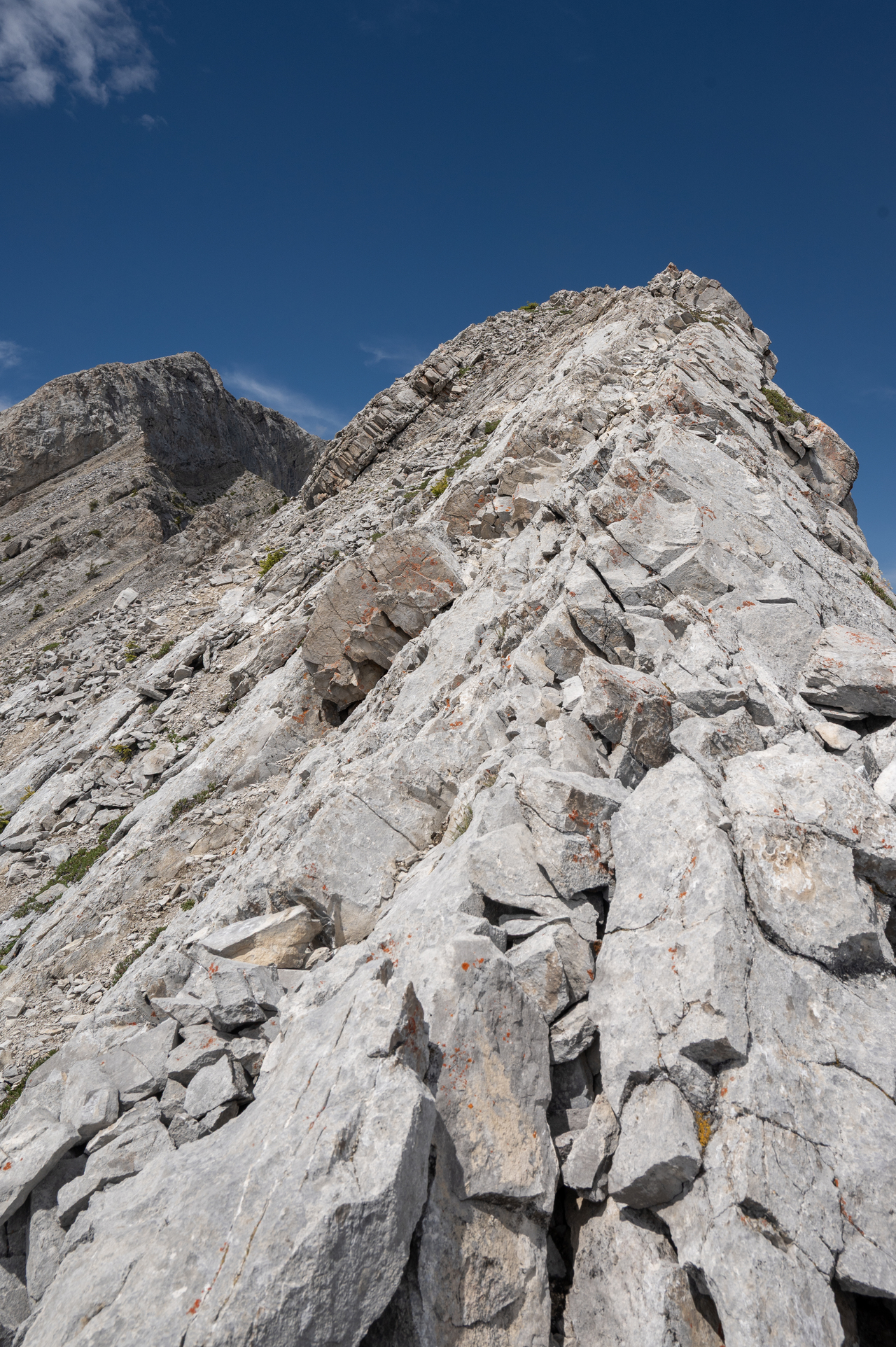 lower end of the ridgeline